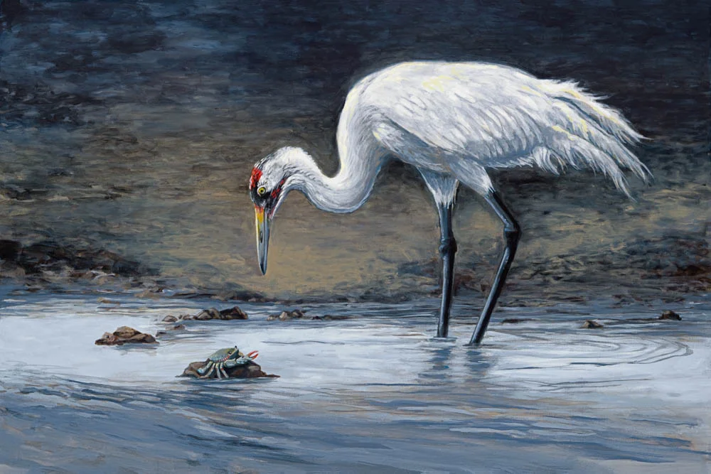 "Early Morning Hunt" by Kristy Tipton (acrylic)