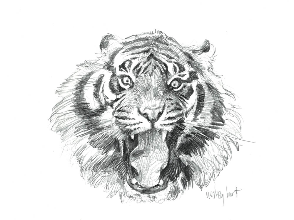 "Sumatran Roar"