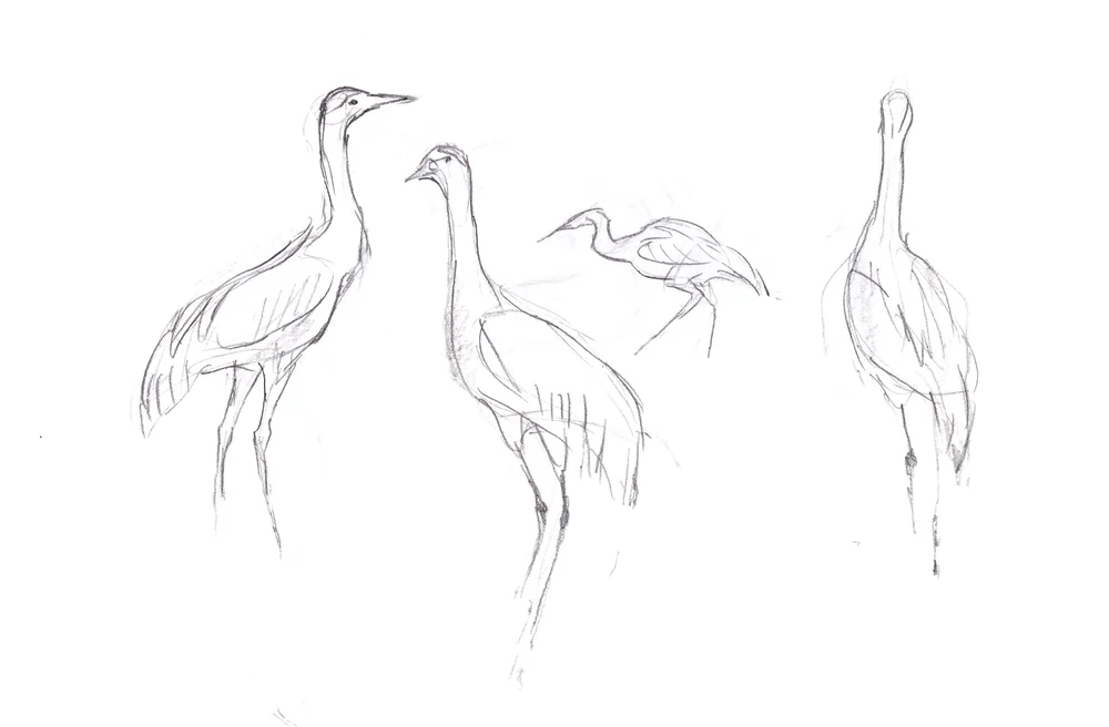 cranes.jpg