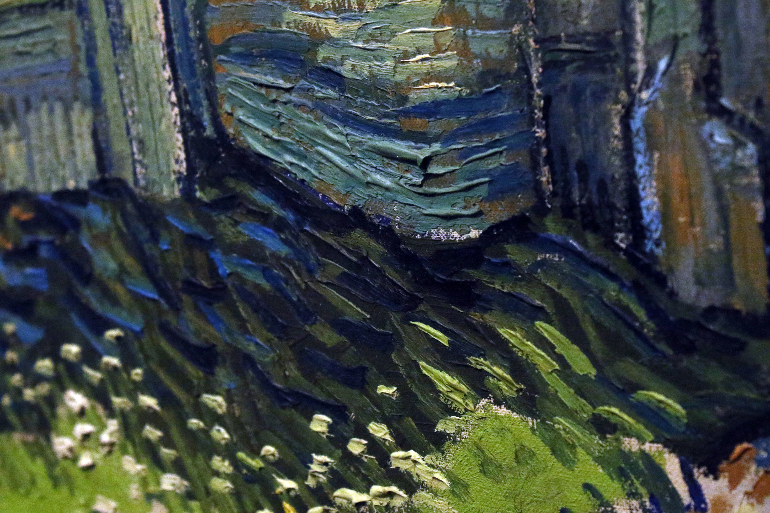 Another detail shot of one of Van Gogh's paintings