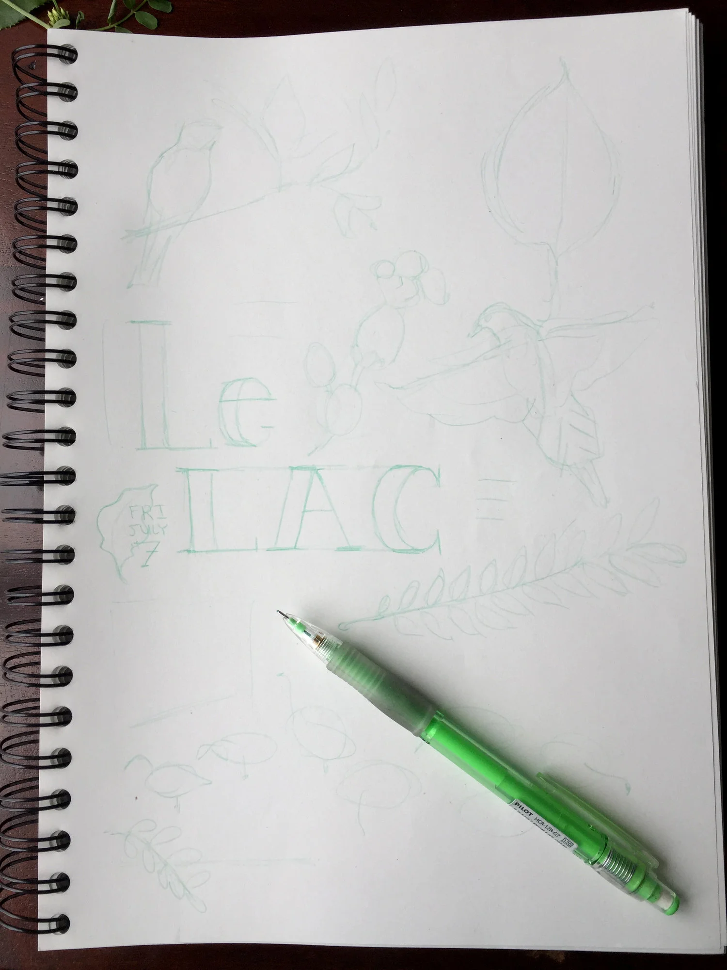 sketch.jpg