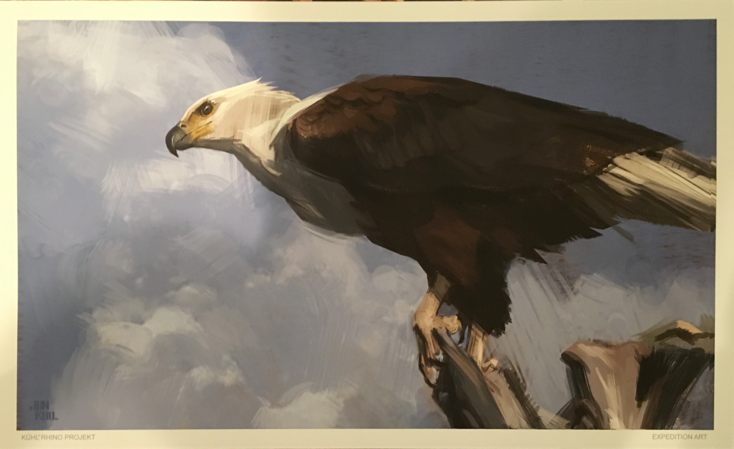 "Eagle" by Jonathan Kuo