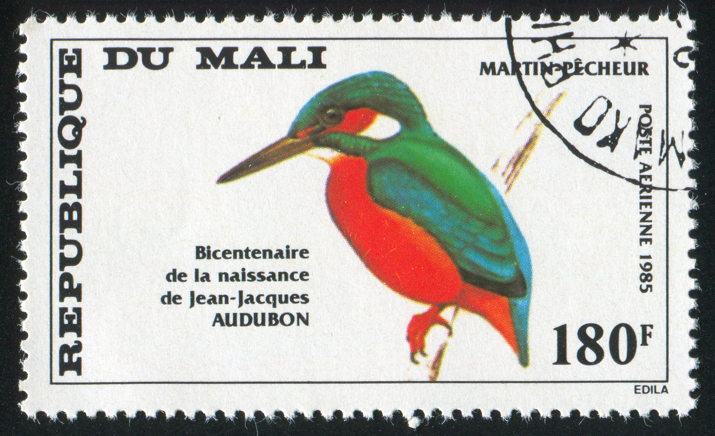 Kingfisher