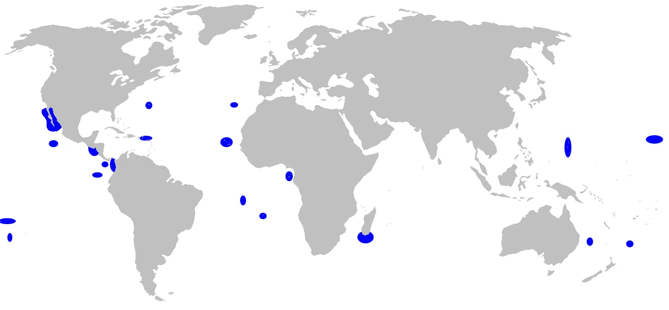 Wildlife-Galapagos-Shark-Distribution.jpg