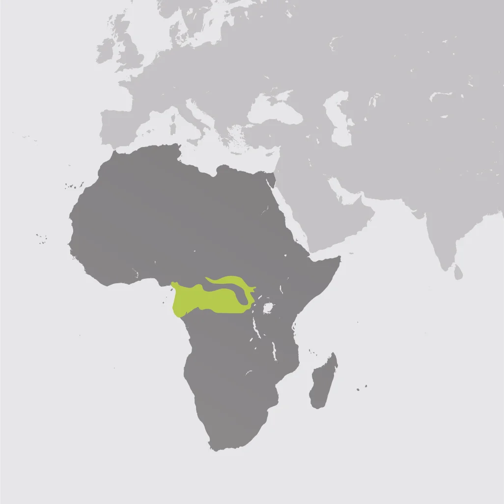 Map__African Forest Elephant.jpg