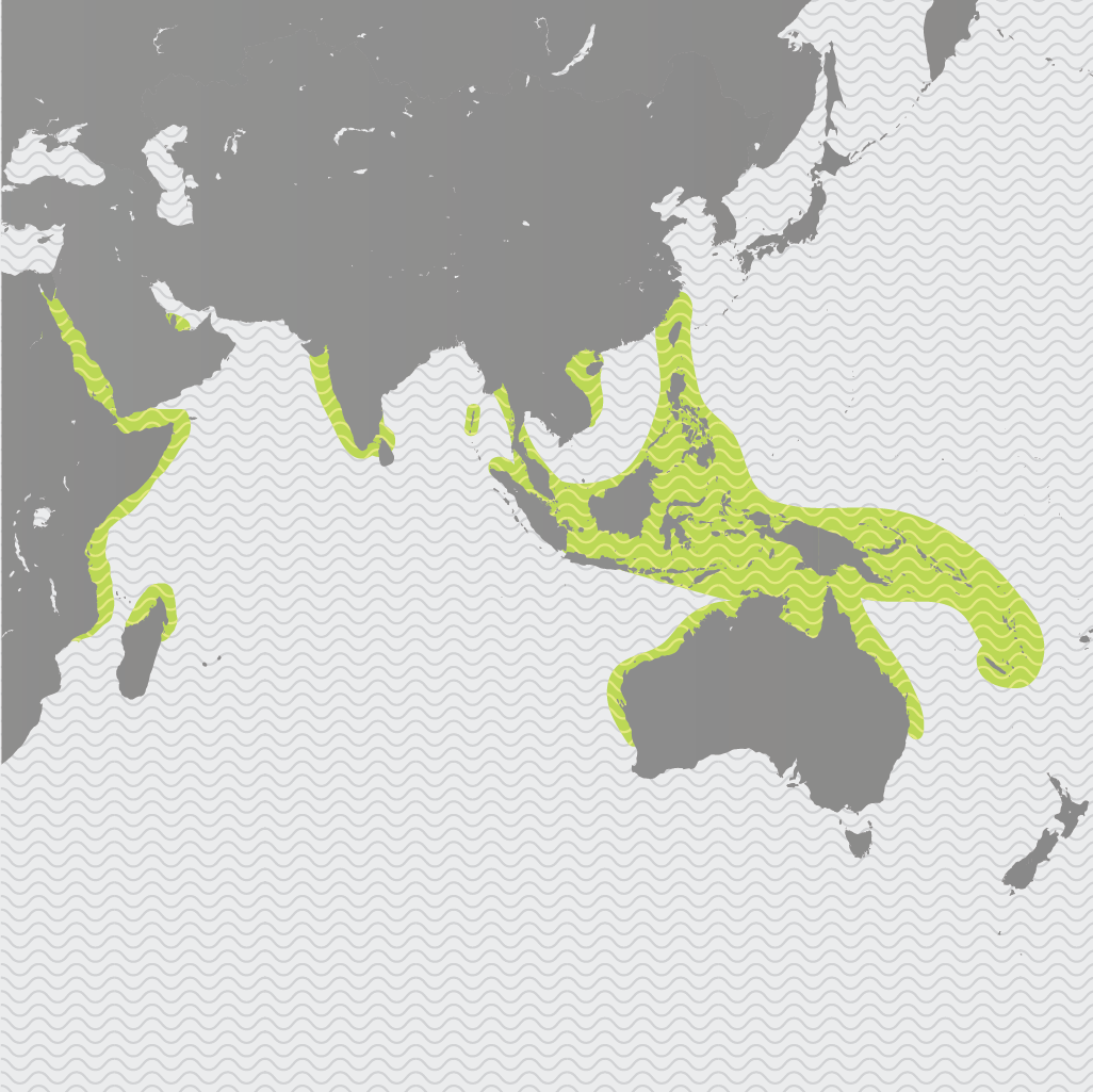 Dugong Habitat Map Dugong Habitat Map