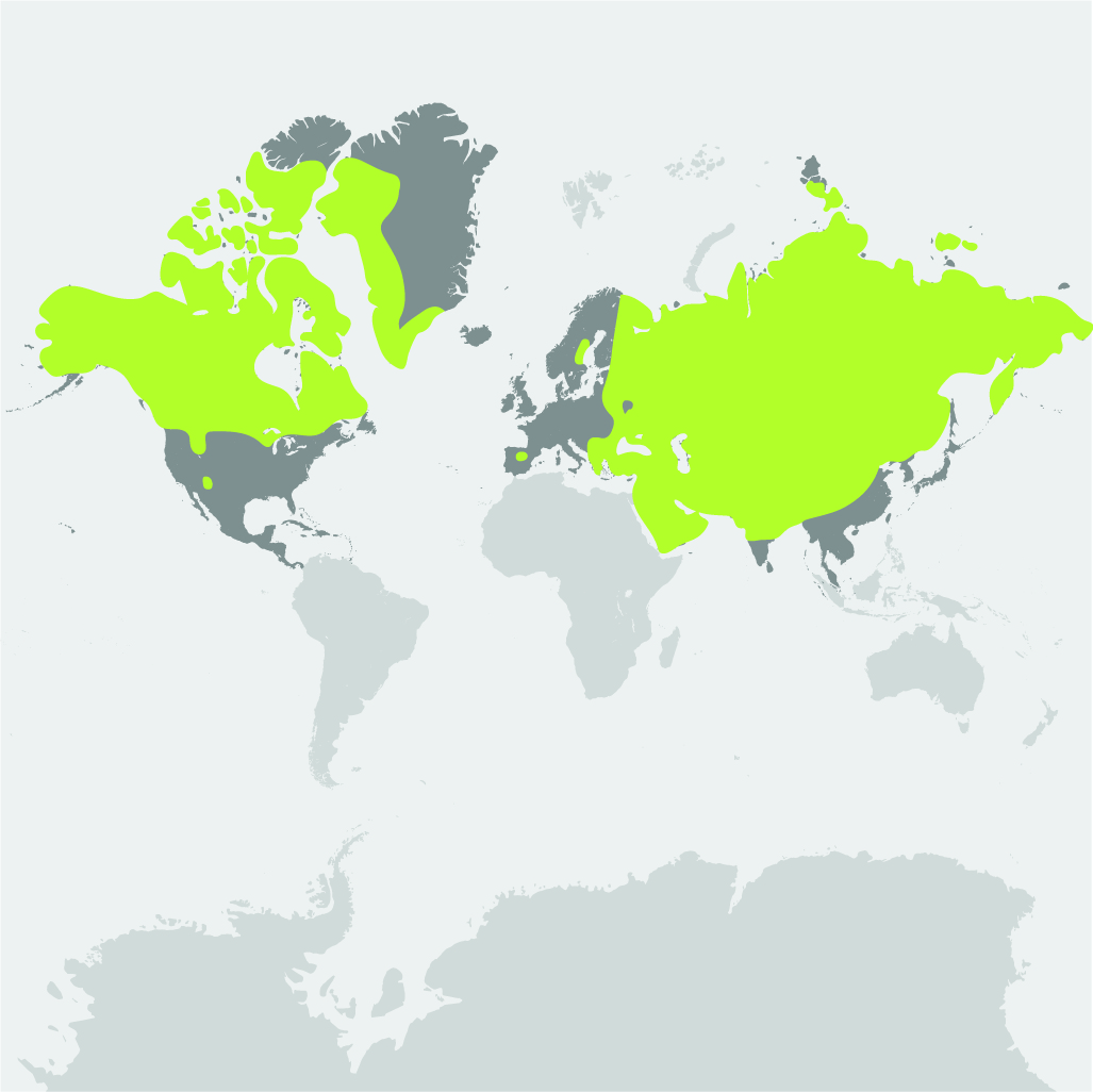 Gray Wolf Habitat Map