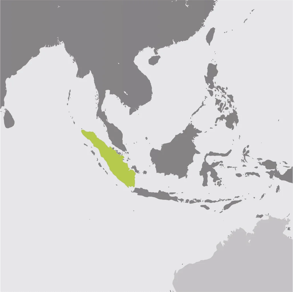 Map__Sumatran Elephant.jpg