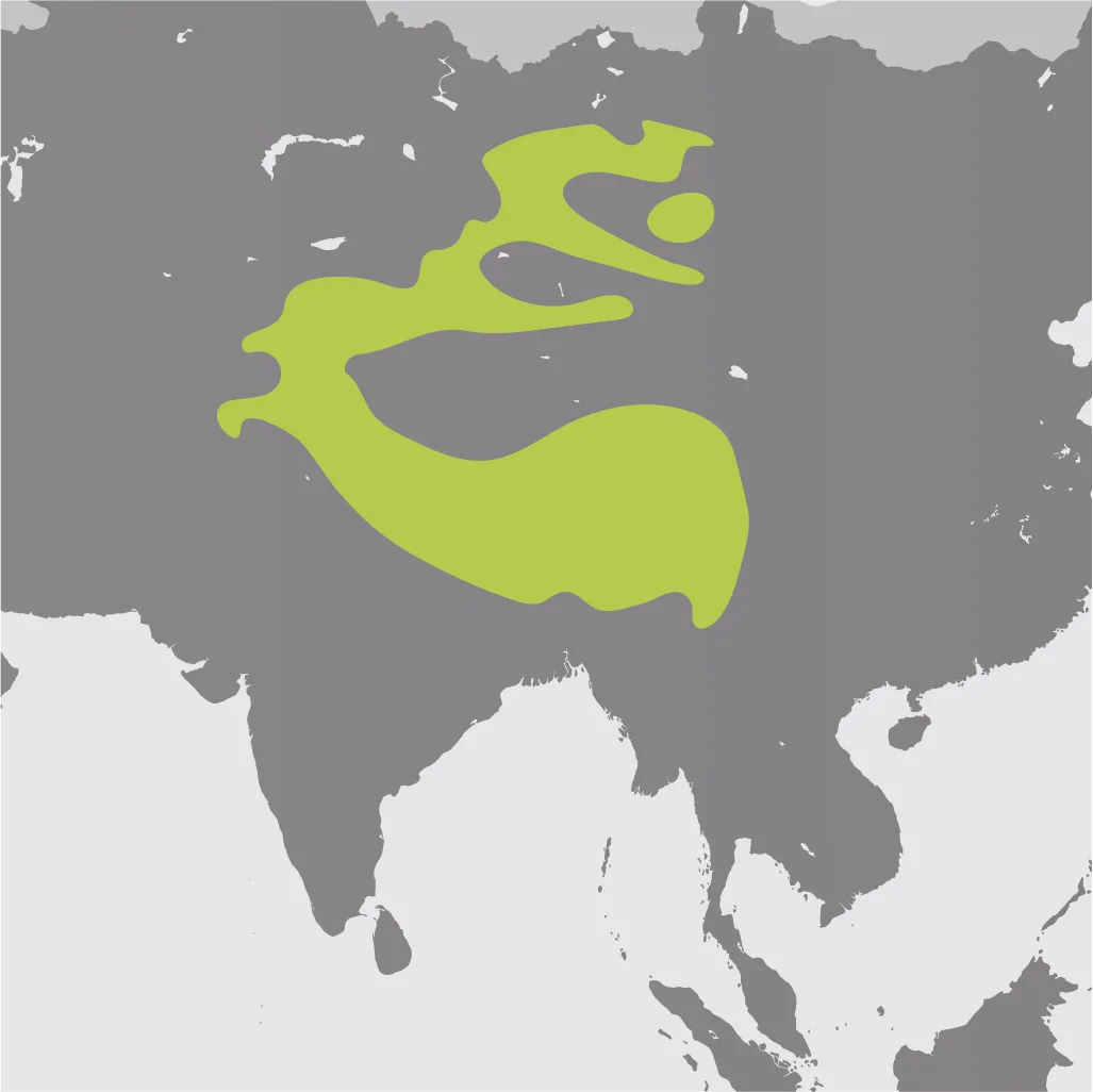 Map__Snow Leopard.jpg