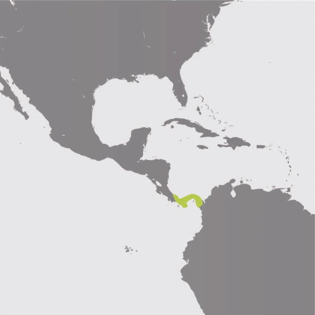 Map__pygmy-sloth.jpg