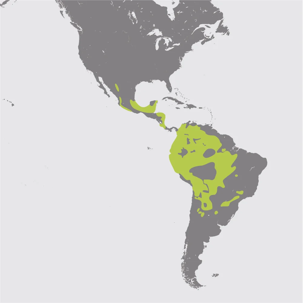 Jaguar Habitat Map