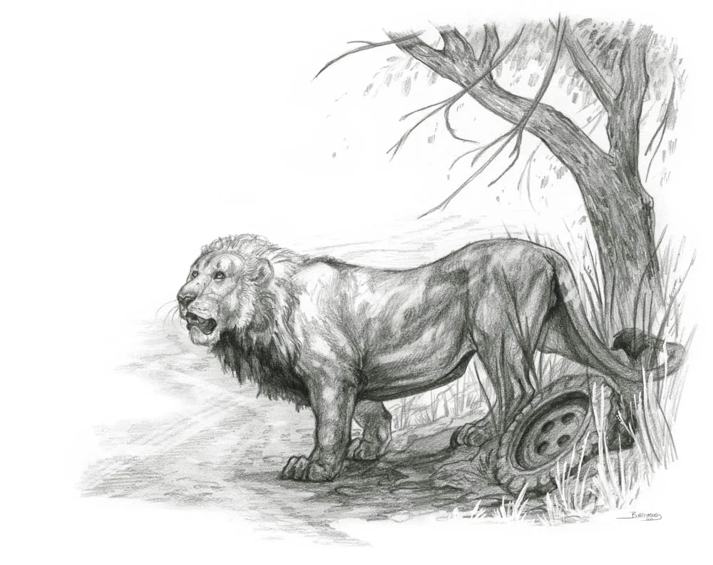 Asiatic Lion
