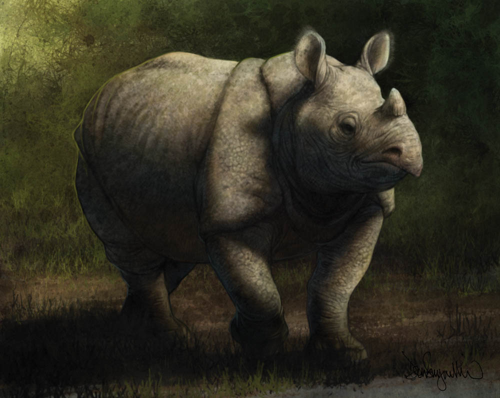 Javan Rhino