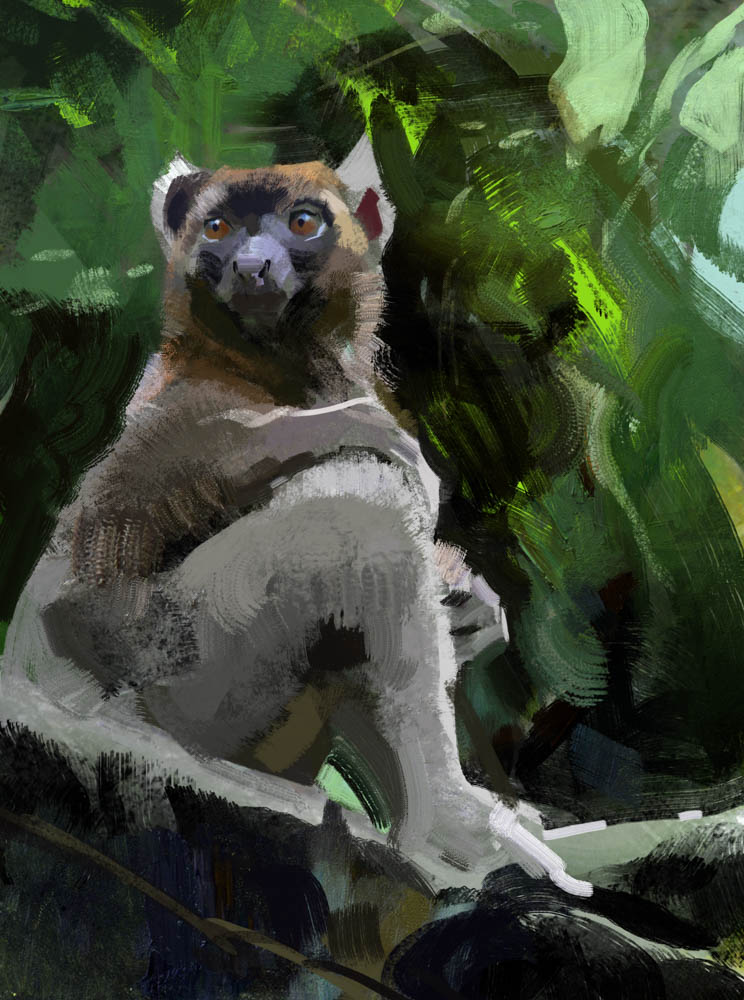 Bamboo Lemur