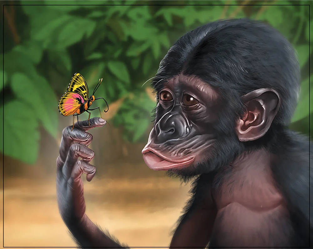 Bonobo