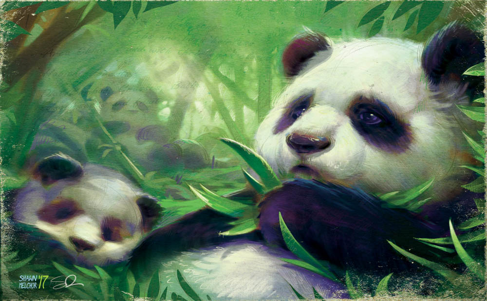 Giant Panda