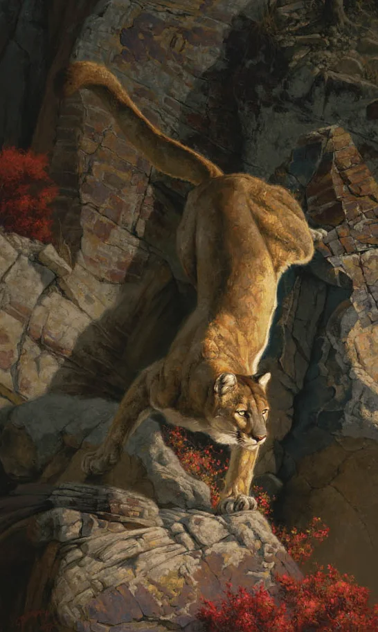 “Vantage Point (Cougar)“