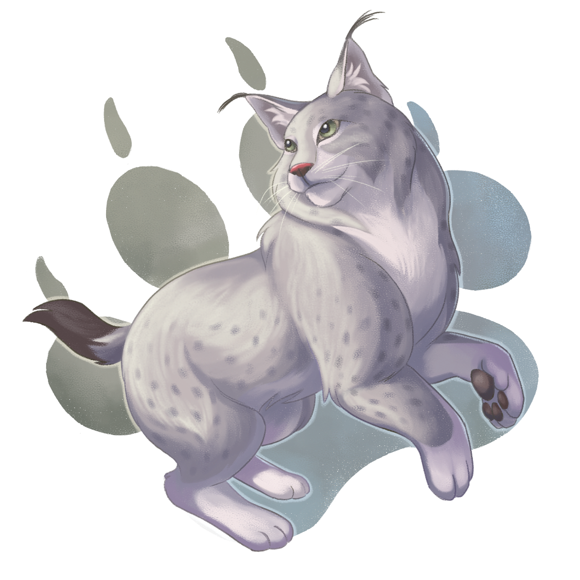 9-eurasianlynx-jennifer-teh.png