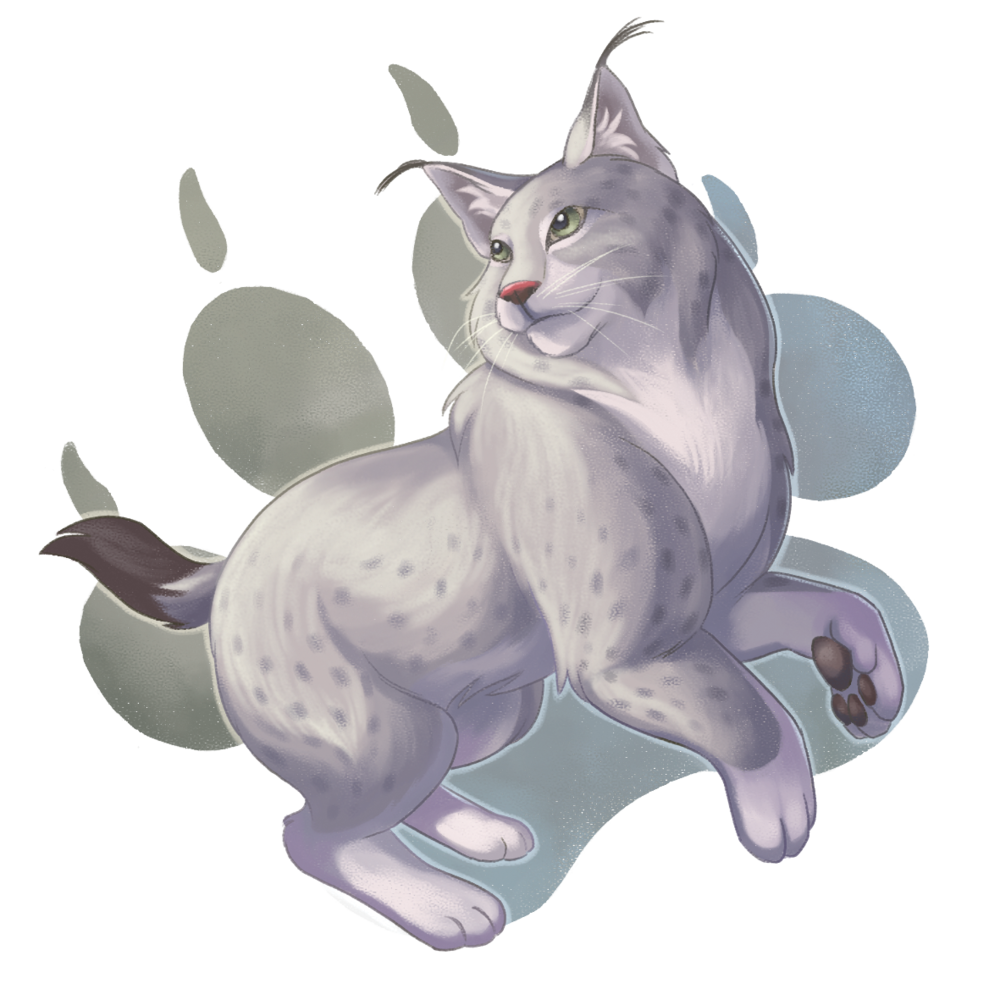 9-eurasianlynx-jennifer-teh.png