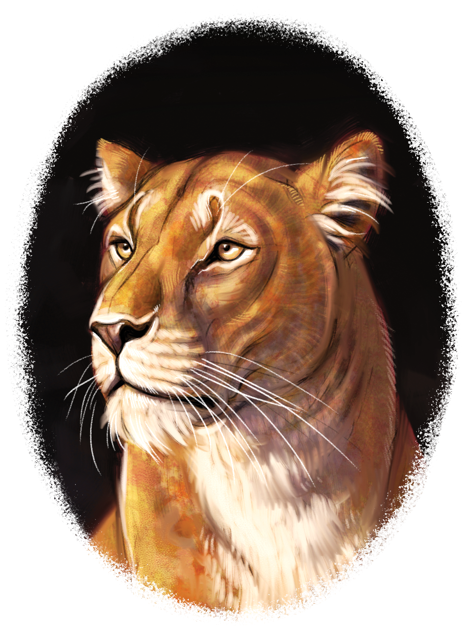 14-lion-pip-abraham.png