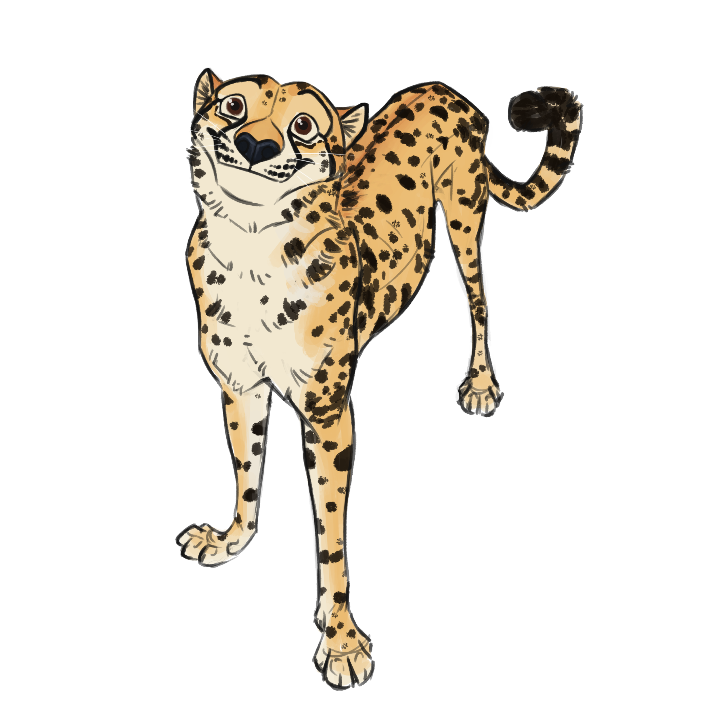 cheetah-tori-maier.png