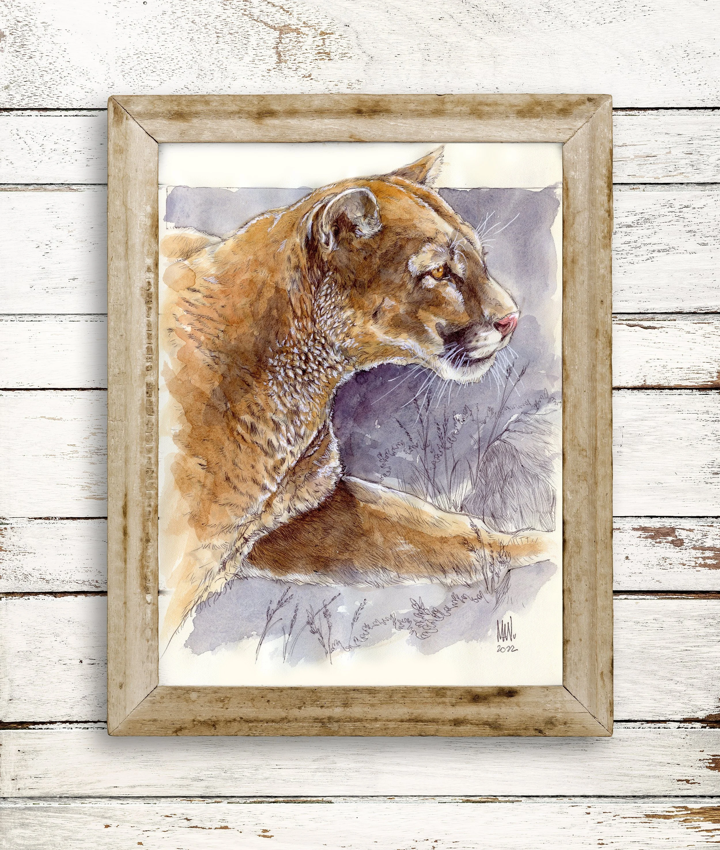 Mountain Lion Giclée Art Print