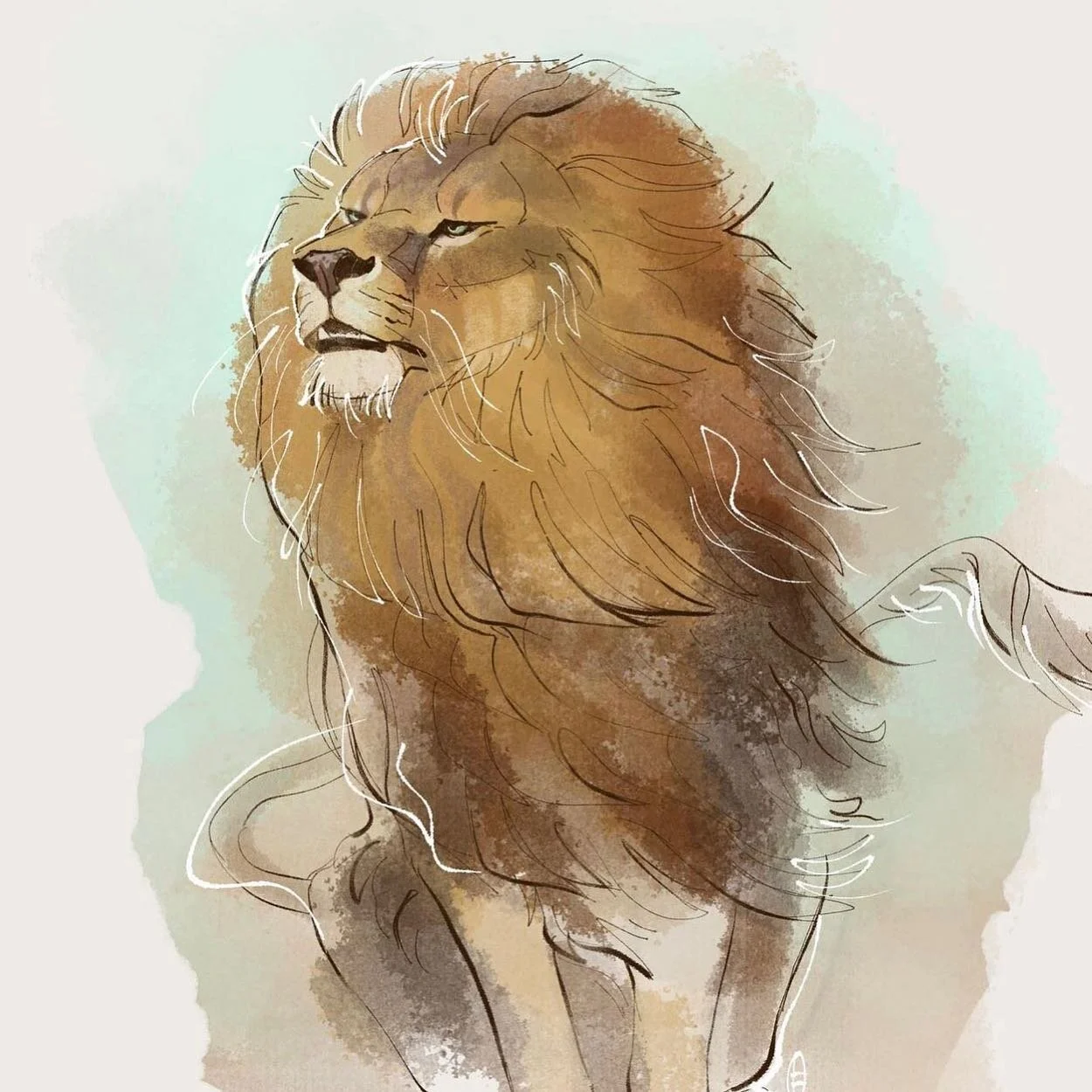 The Barbary Lion (Panthera Leo Leo), also known as the Atlas Lion, is an African lion subspecies, formerly native to North Africa, including the Atlas Mountains, that is now considered extinct in the wild. 
Art by @finchwing 
#expeditionart #animalar