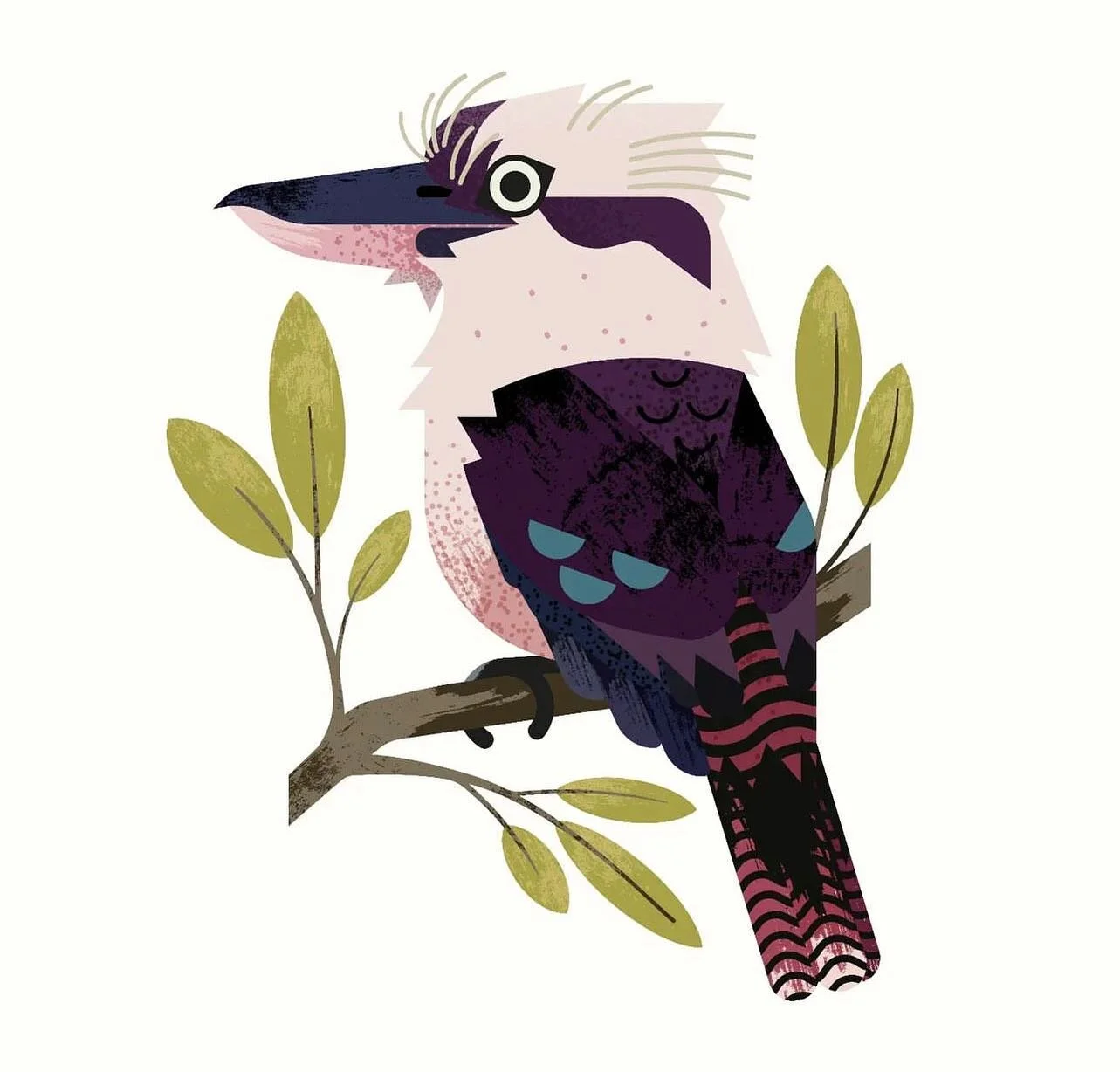 In the wild, kookaburras live in communal flocks where they claim territory by singing at dusk and dawn. These are common birds, with no specific habitat associations. They also are generalist predators on any small creature or eggs. With these wide 