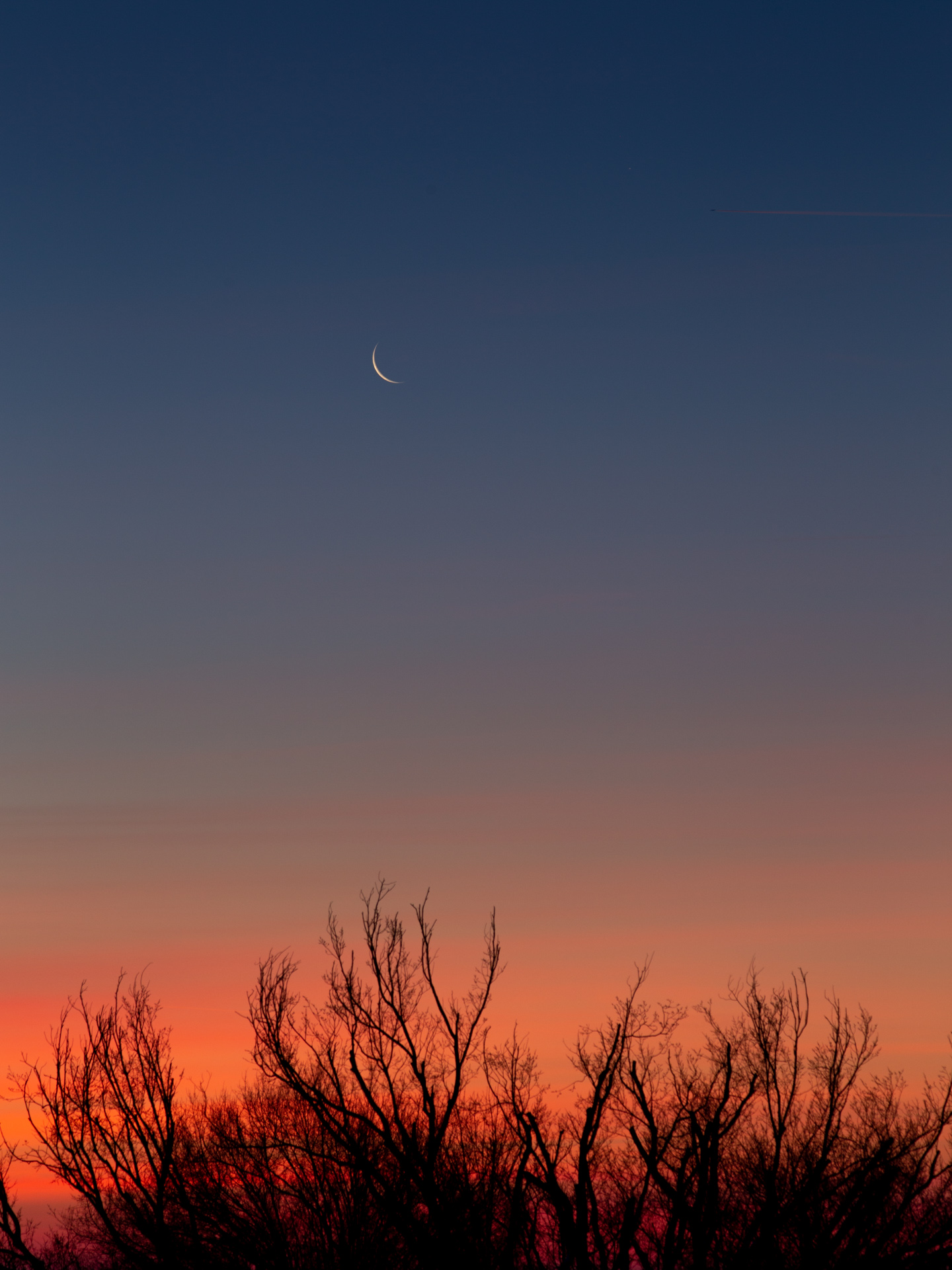 Waning Crescent Moon Rise | 20190202 0657 E:38.96x77.00@84m