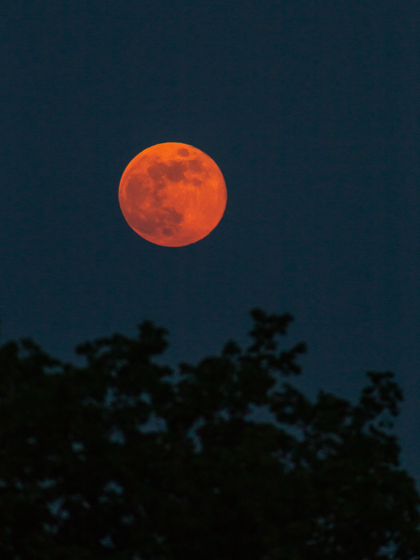 Full Flower Blue Moon 2 | 20190518 2032 E:38.96x77.00@84m