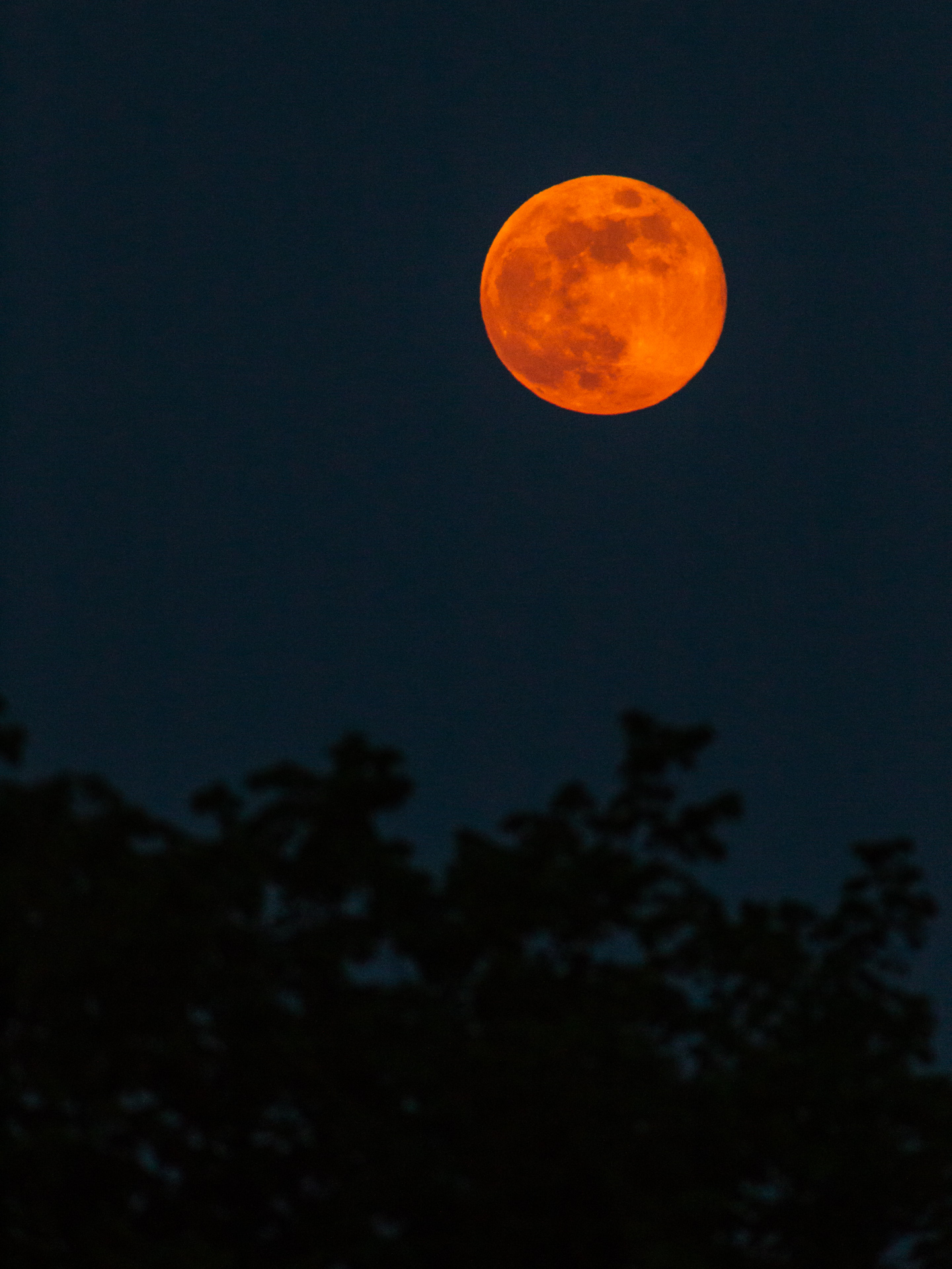 Full Flower Blue Moon 1 | 20190518 2034 E:38.96x77.00@84m