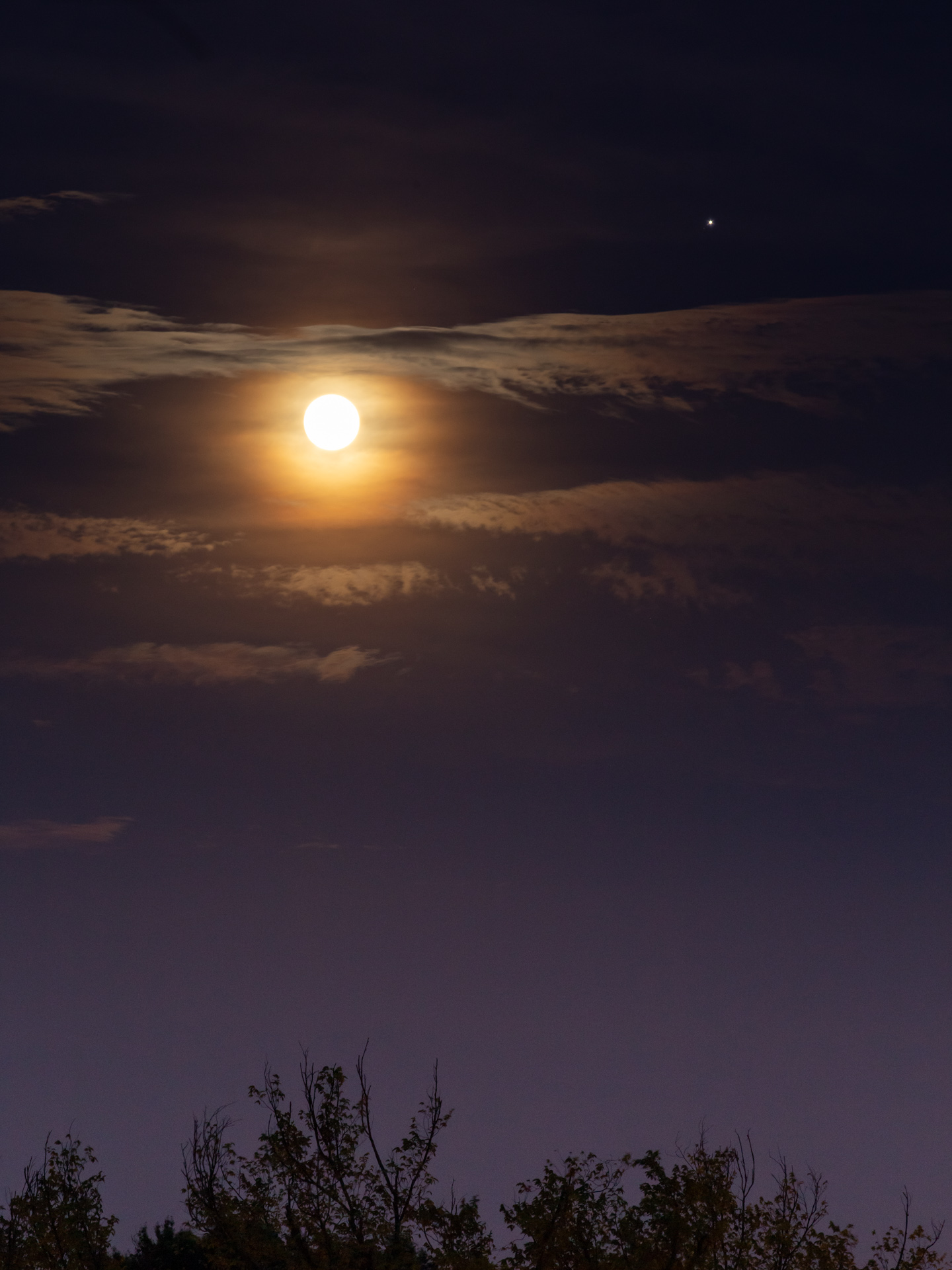 Full Strawberry Moon and Jupiter | 20190616 2116 E:38.96x77.00@84m