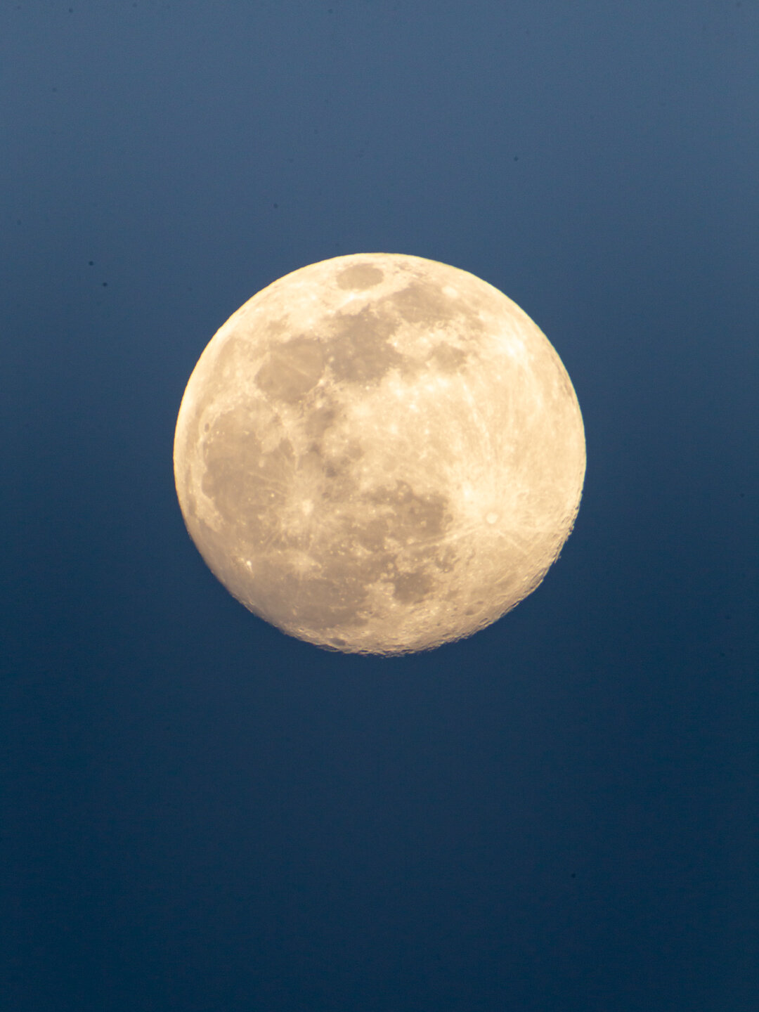 \ Full Pink Moon \