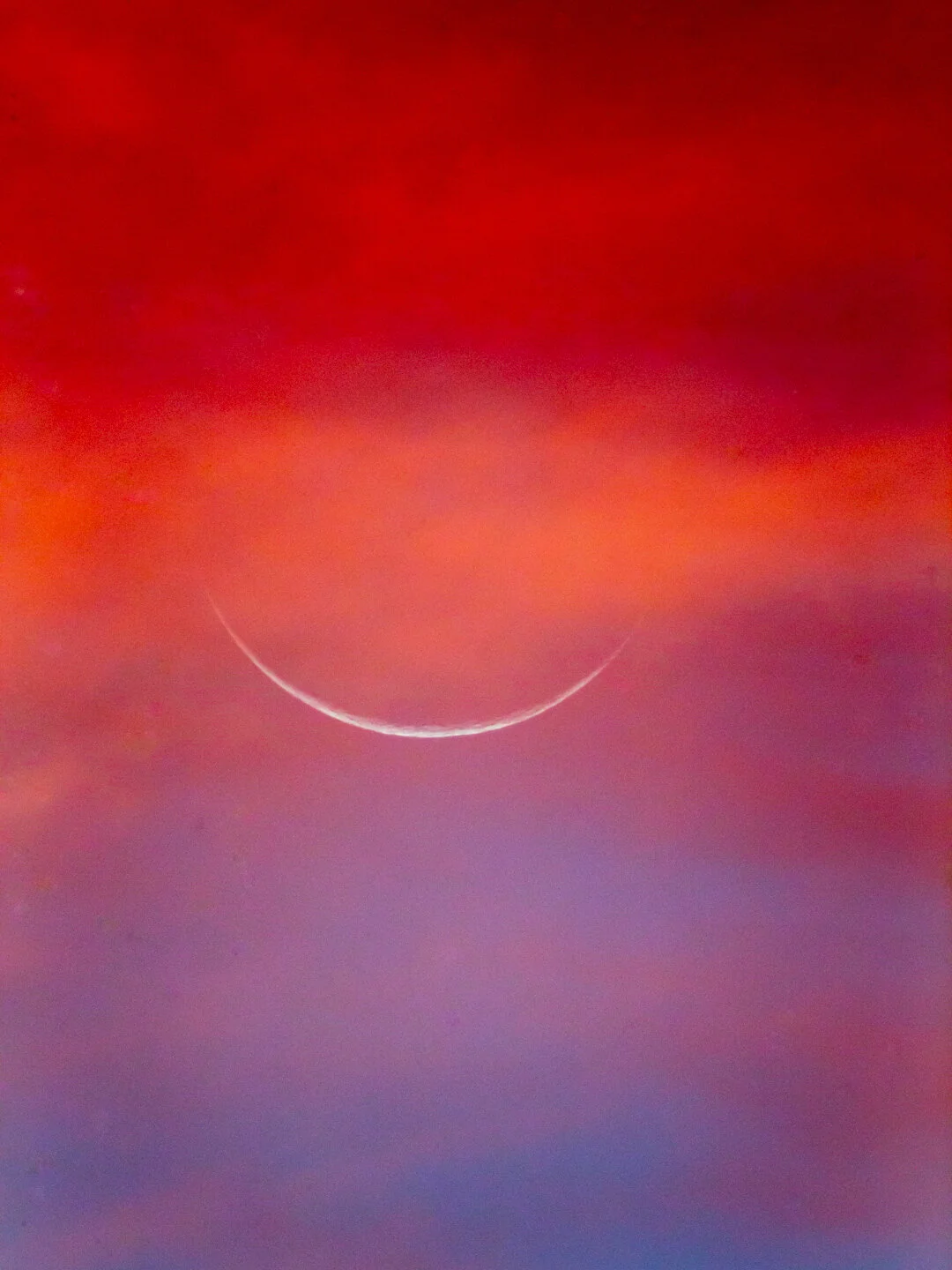 2019_lunardaylight_web-9.jpg