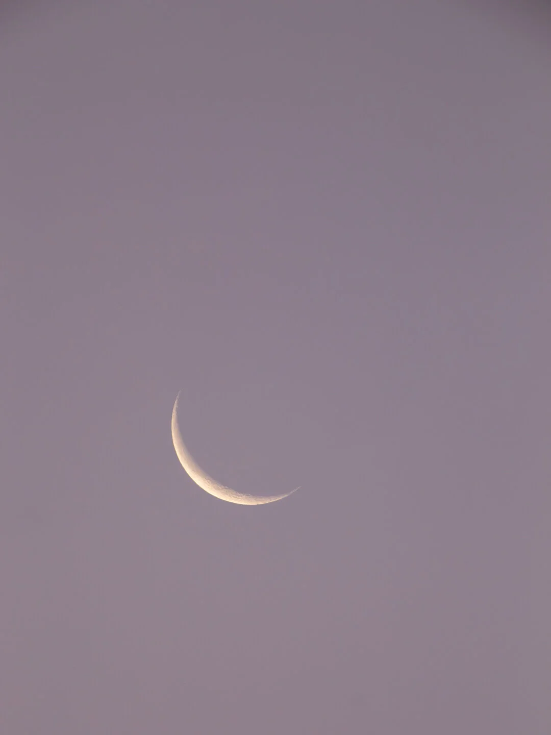 2019_lunardaylight_web-18.jpg