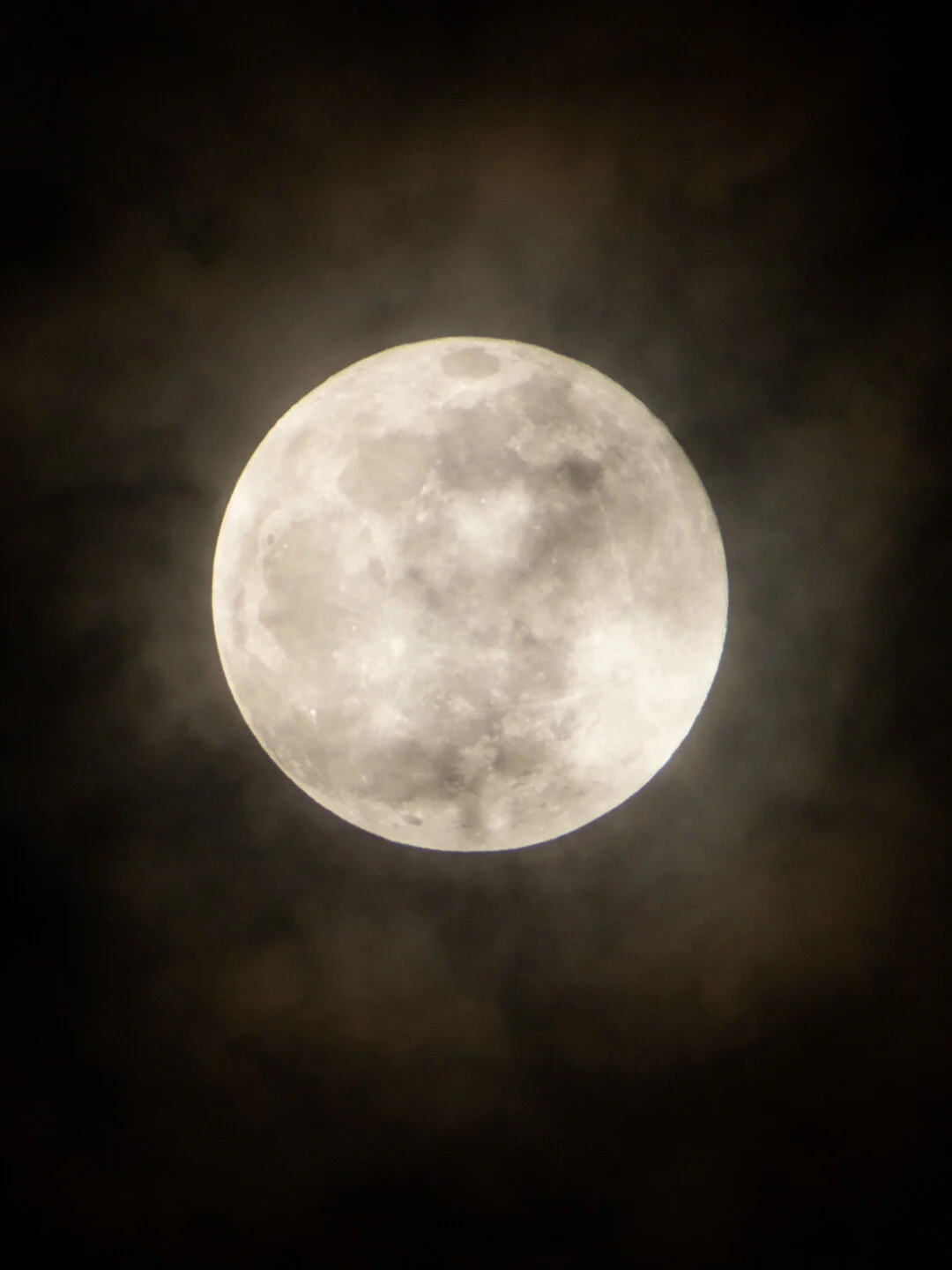 lunar_daylight_web-19.jpg