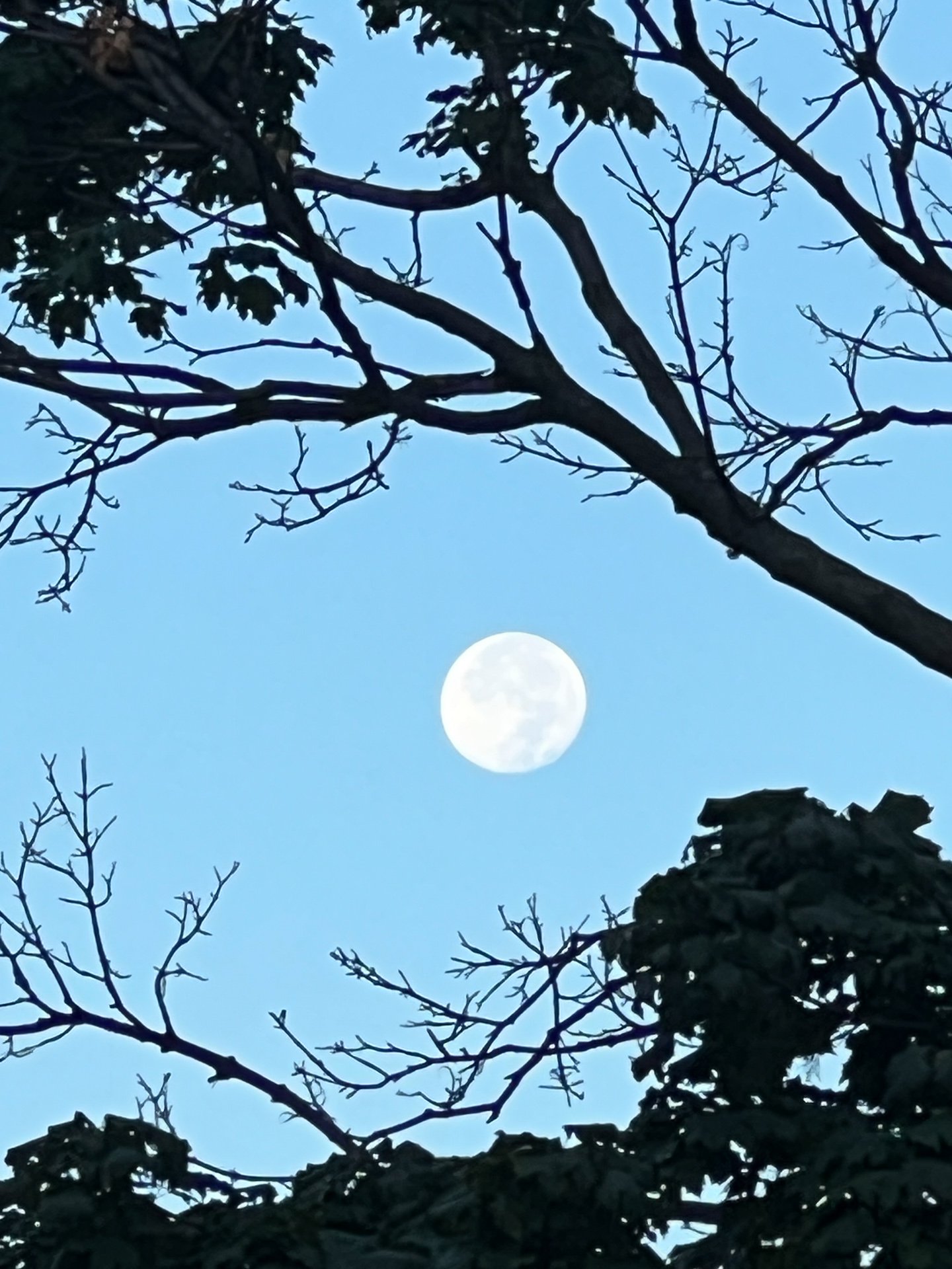 EIGHTH MOON