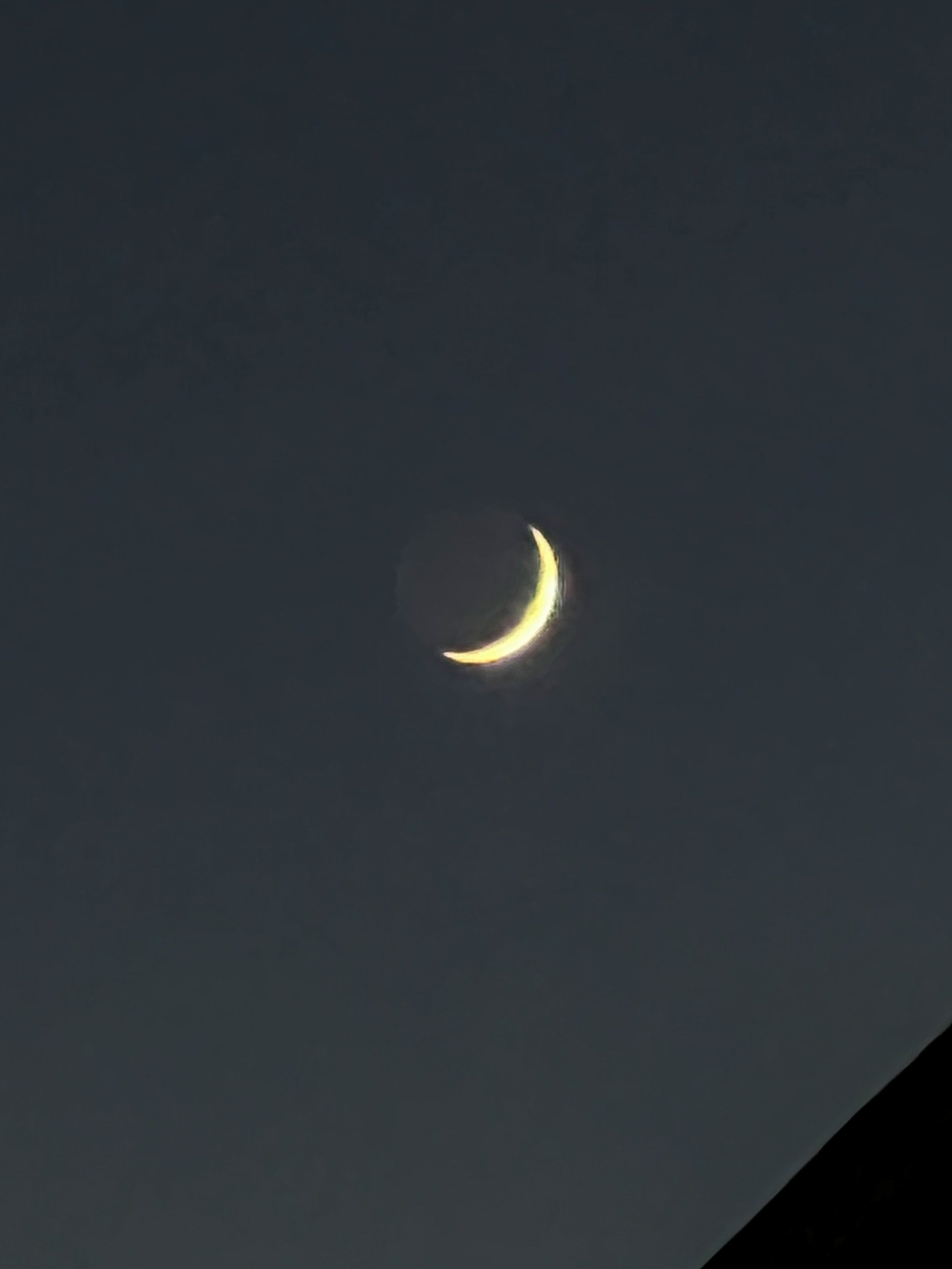 TWELFTH MOON