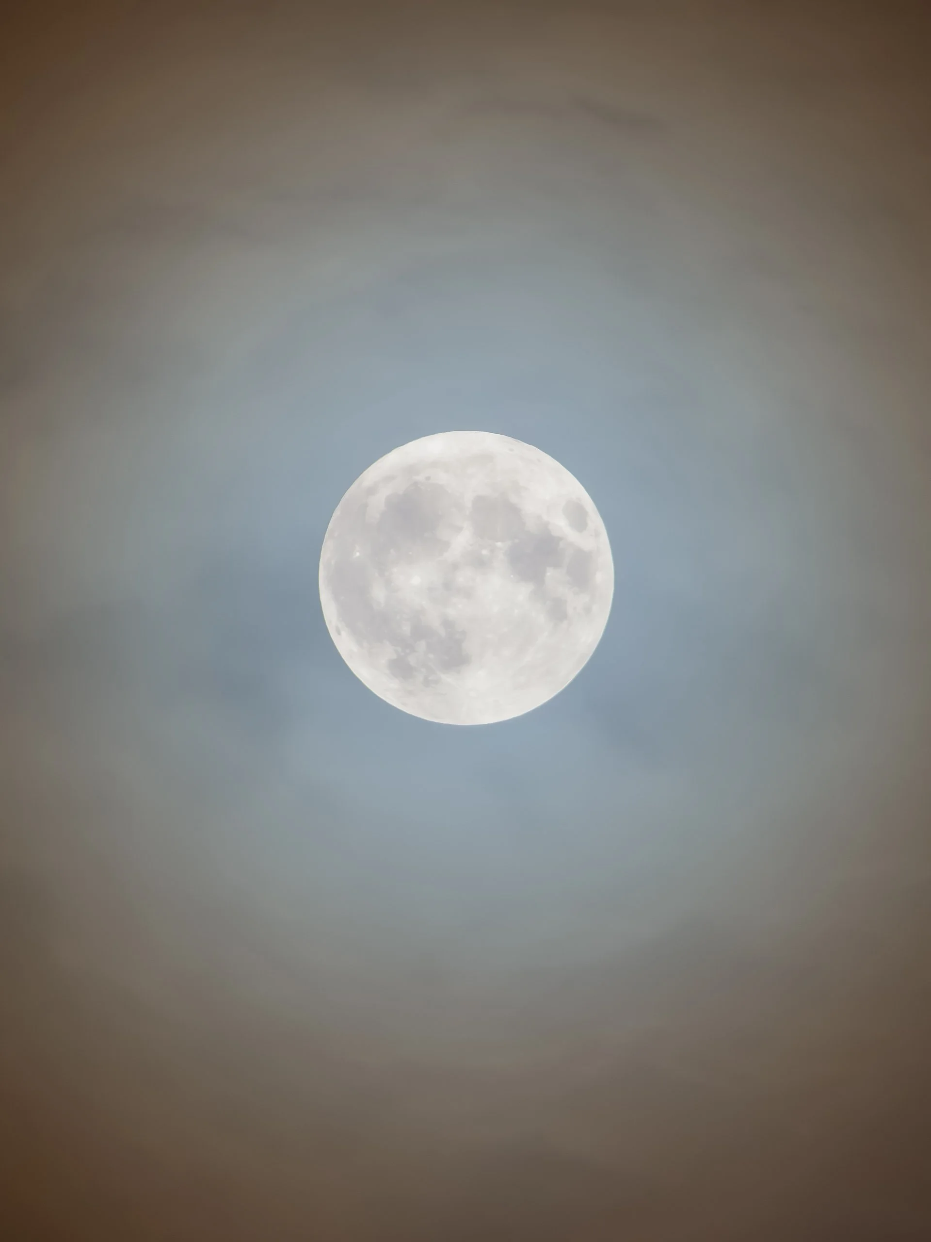 lunr010_web-8.jpg