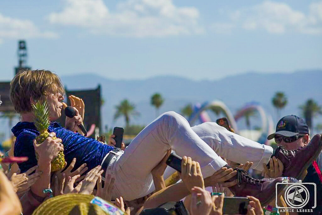 Cage the Elephant by Annie Lesser