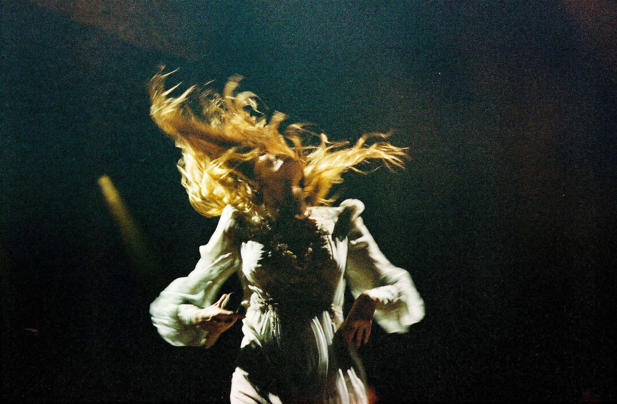 Florence and the Machine by Annie Lesser