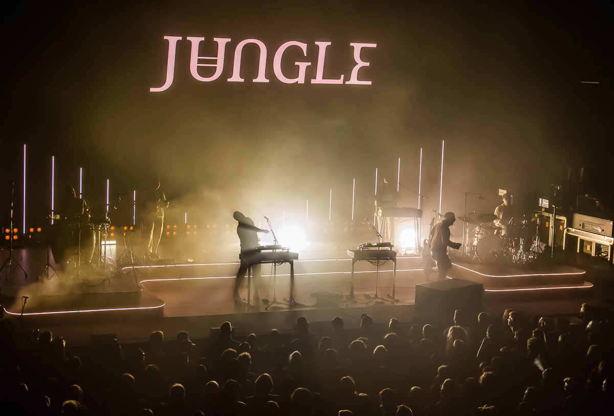 Jungle-44.jpg