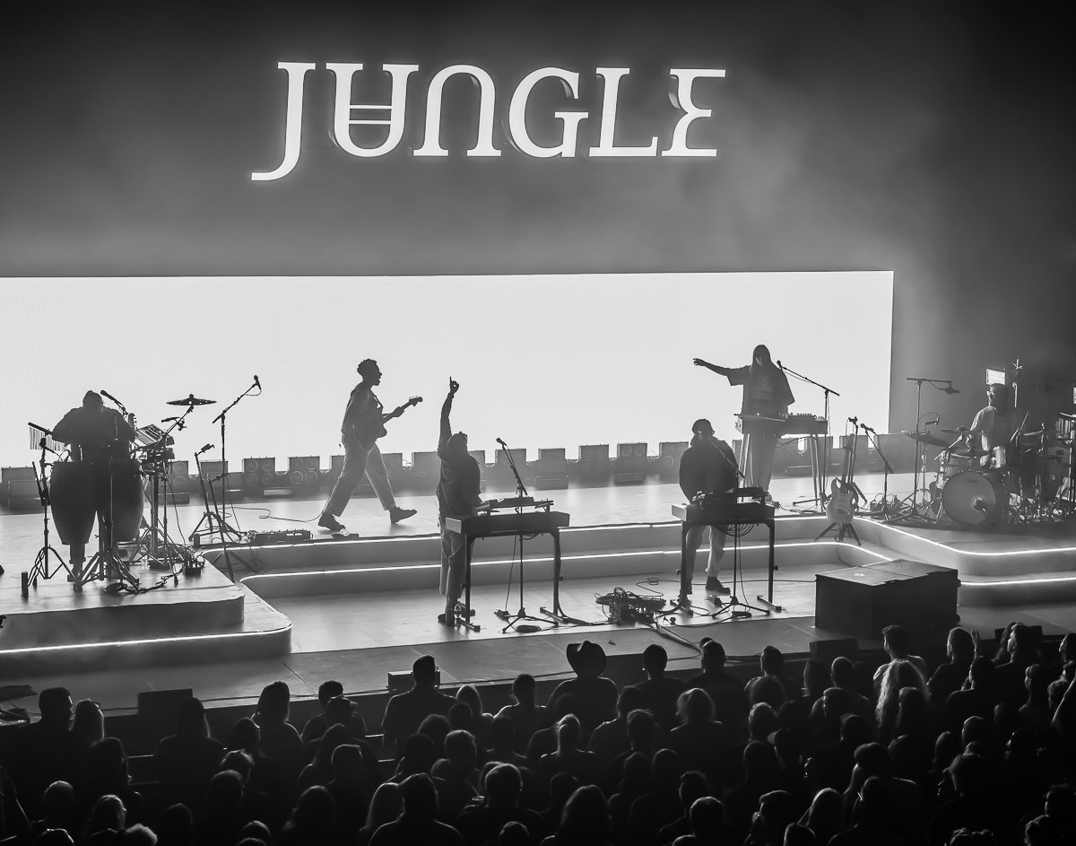 Jungle-45.jpg