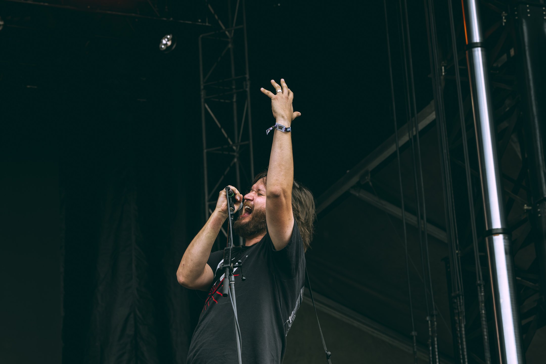 Pup-4.jpg
