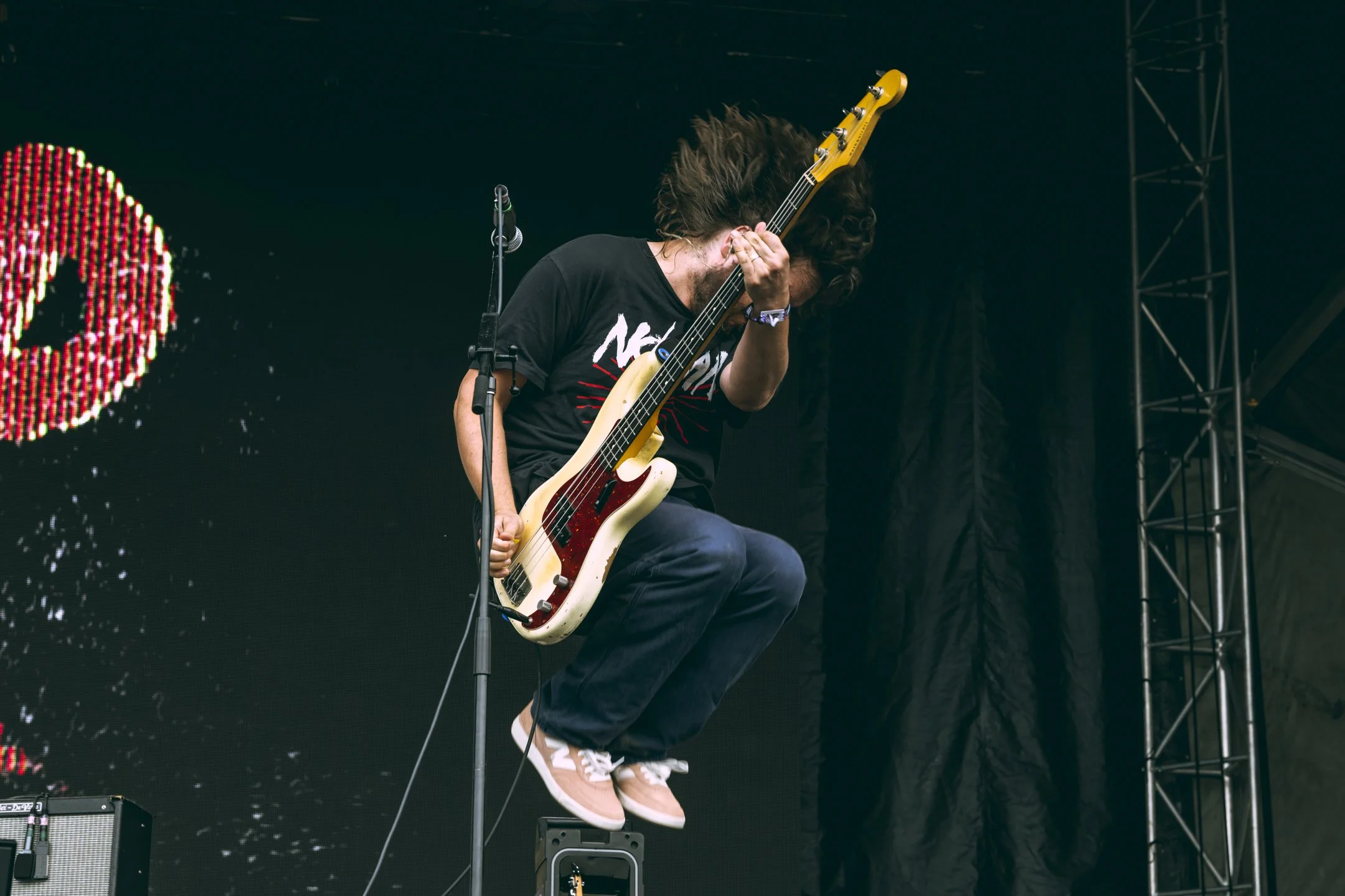 Pup-6.jpg