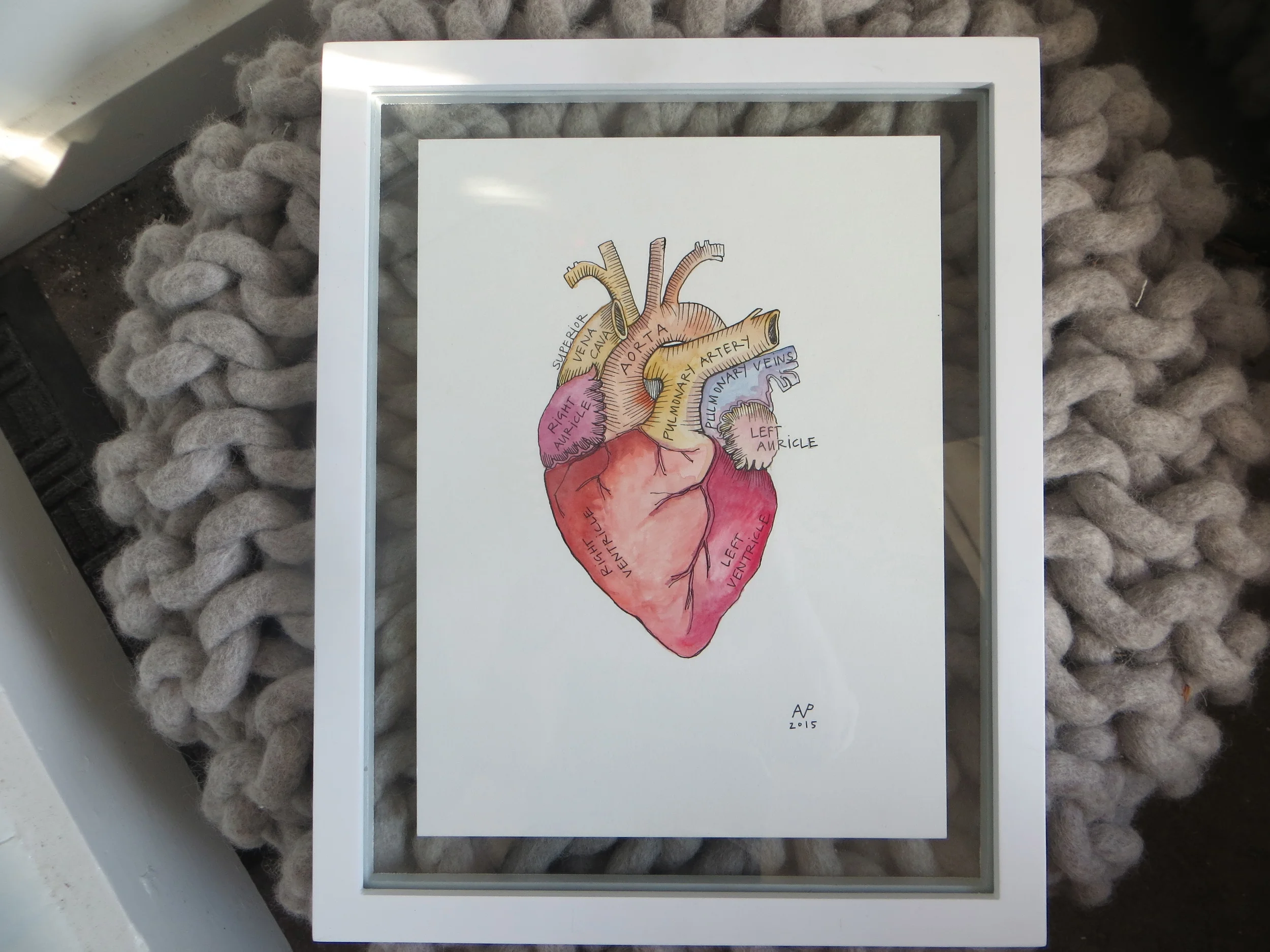 anatomically correct heart watercolor SOLD