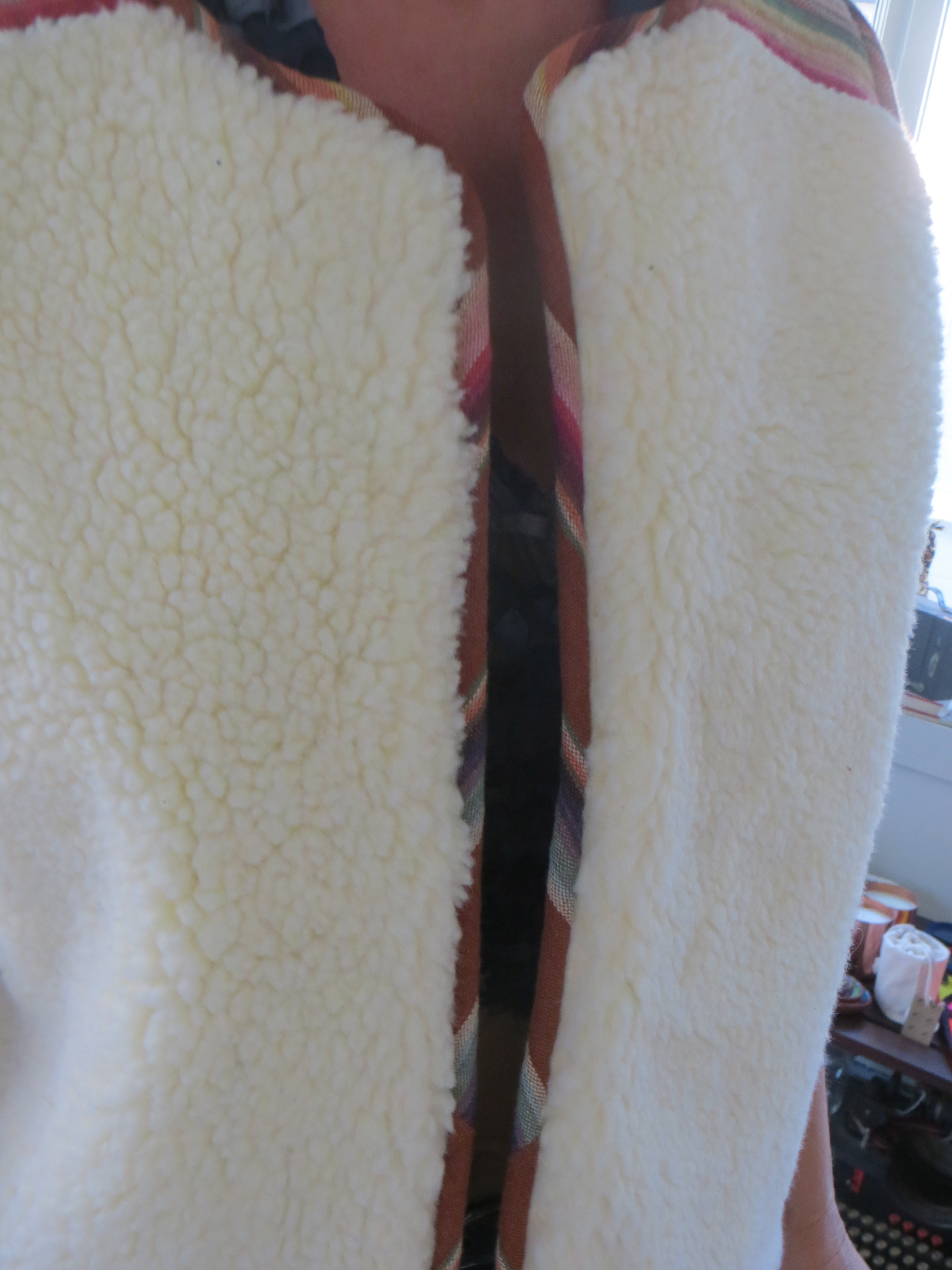 Alix of Bohemia Georgia Vest