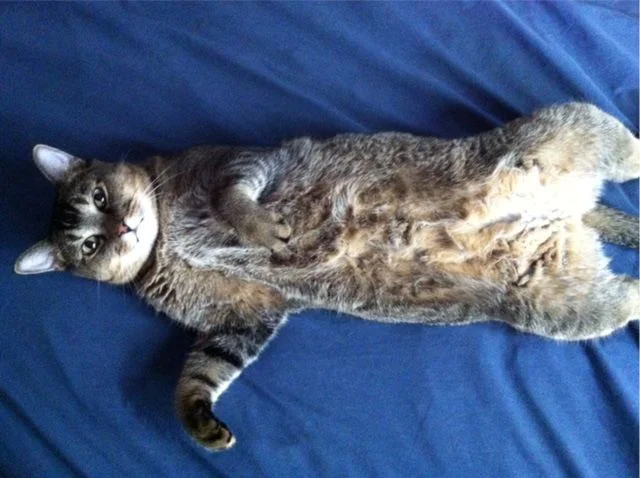 Is there life after dormancy?