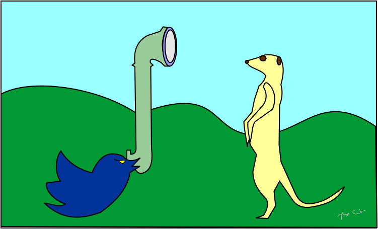 Meerkat or Periscope - which one for attorneys?