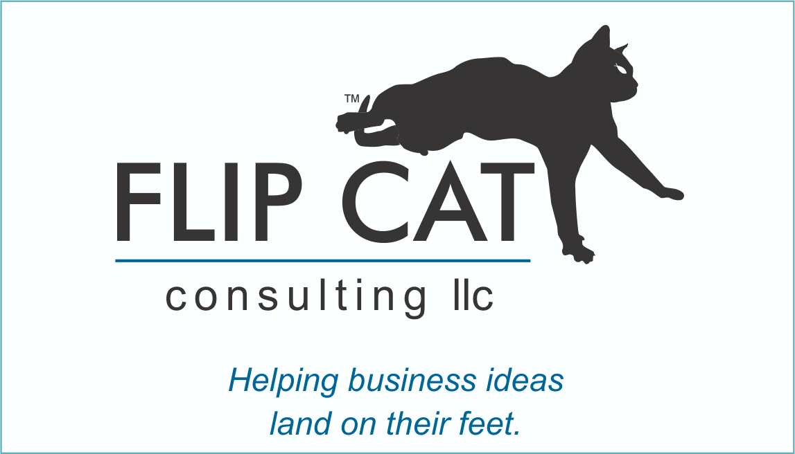 THE FLIP CAT BLOG - Introduction